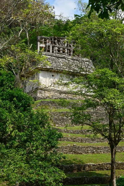 帕伦克 恰帕斯 墨西哥联合州 2018年5月17日 哥伦布前玛雅遗址帕伦克 — 图库照片