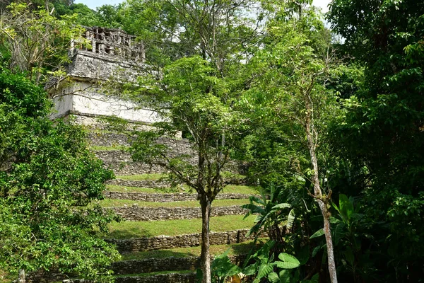 Паленке Чьяпас Мексиканських Сполучених Штатів 2018 Травня Попередньо Колумба Майя — стокове фото