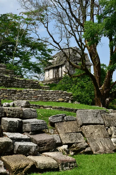 Palenque Chiapas Estados Unidos Mexicanos Mayo 2018 Sitio Maya Precolombino —  Fotos de Stock