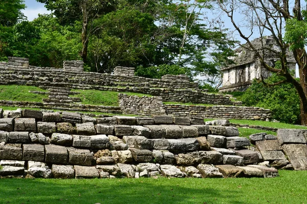 Palenque Chiapas Stati Uniti Messico Maggio 2018 Sito Maya Precolombiano — Foto Stock