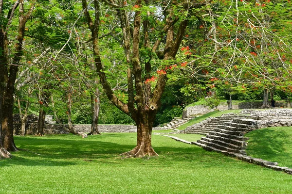 Palenque Chiapas Estados Unidos Mexicanos Mayo 2018 Sitio Maya Precolombino — Foto de Stock