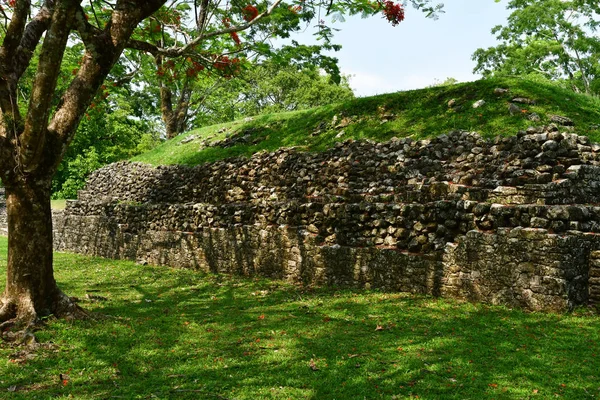 Palenque Chiapas Meksika Abd Mayıs 2018 Kolomb Maya Sitesi Palenque — Stok fotoğraf