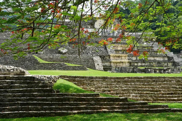 Palenque Chiapas Estados Unidos Mexicanos Mayo 2018 Sitio Maya Precolombino — Foto de Stock