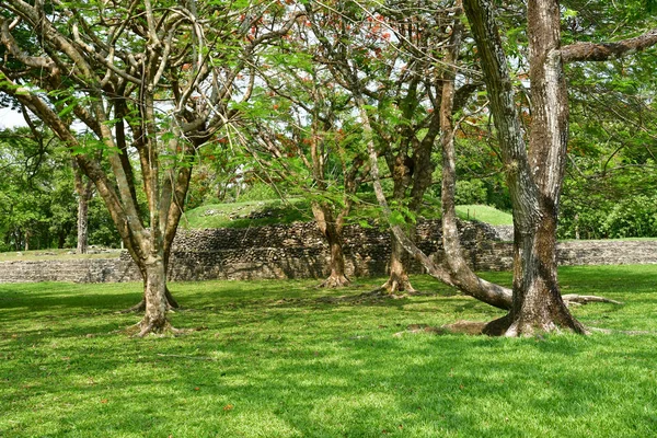 Palenque Chiapas United Mexican States May 2018 Pre Columbian Maya — Stock Photo, Image