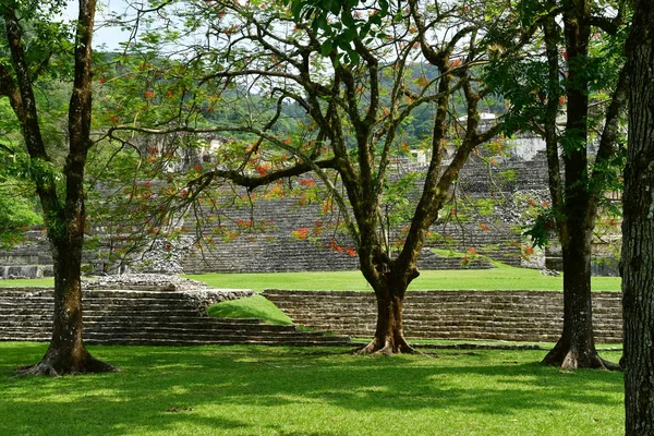 Palenque Chiapas Estados Unidos Maio 2018 Site Maya Pré Colombiano — Fotografia de Stock