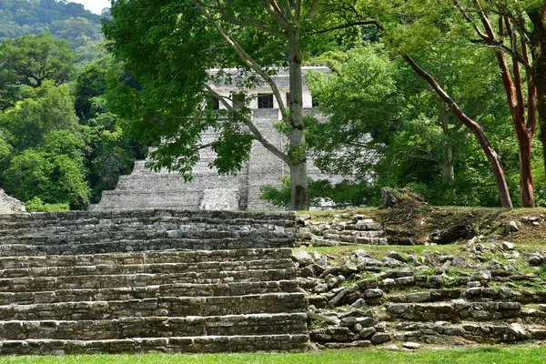 Palenque Chiapas Spojenými Státy Mexickými Května 2018 Pre Columbian Maya — Stock fotografie