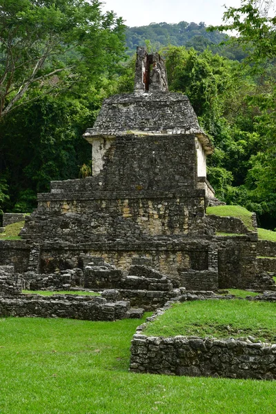 Palenque Chiapas Mexikos Förenta Stater Maj 2018 Pre Kolumbiansk Maya — Stockfoto