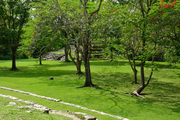 帕伦克 恰帕斯 墨西哥联合州 2018年5月17日 哥伦布前玛雅遗址帕伦克 — 图库照片