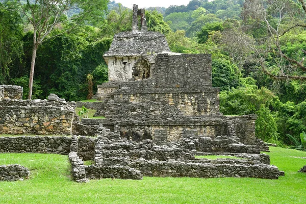 Palenque Chiapas Meksika Abd Mayıs 2018 Kolomb Maya Sitesi Palenque — Stok fotoğraf