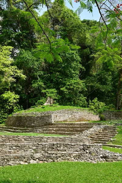 Palenque Chiapas Spojenými Státy Mexickými Května 2018 Pre Columbian Maya — Stock fotografie