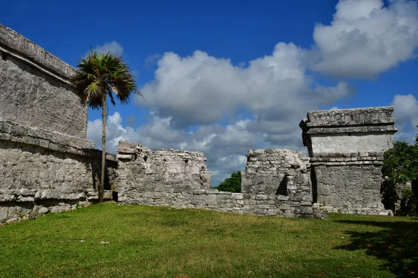 Tulum Mexické Ameri Května 2018 Pre Columbian Stránky — Stock fotografie