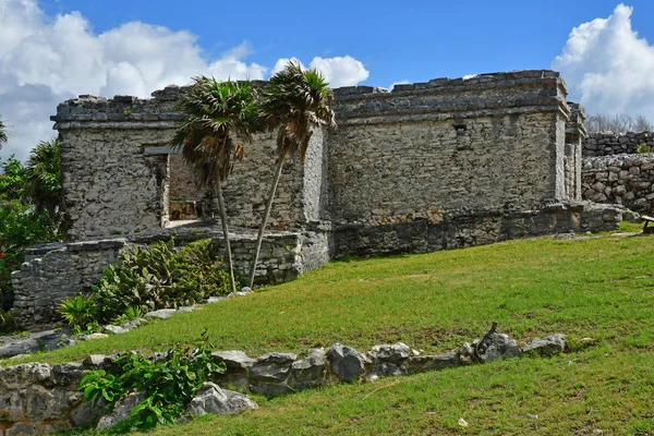 Tulum Meksika Devlet Mayıs 2018 Türkiye Kolomb Sitesi — Stok fotoğraf