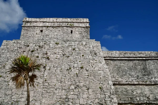 Tulum Mexické Ameri Května 2018 Pre Columbian Stránky — Stock fotografie