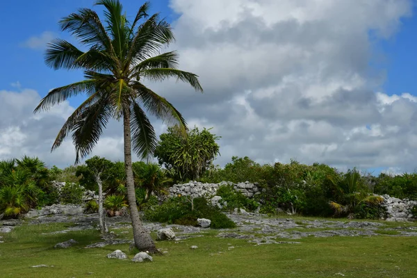 Tulum Egyesült Mexikói Állam Május 2018 Pre Kolumbiai Site — Stock Fotó