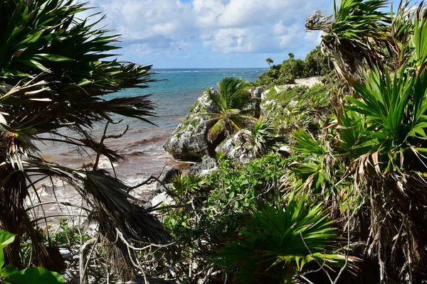 Tulum Wielka Meksykańskiego Stanu Maja 2018 Pre Columbian Witryny — Zdjęcie stockowe