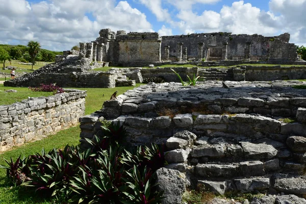 Tulum Meksika Devlet Mayıs 2018 Türkiye Kolomb Sitesi — Stok fotoğraf