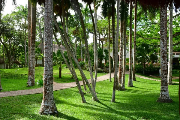 Chichen Itza Mexikanska Sverige Maj 2018 Park Ett Hotell Med — Stockfoto