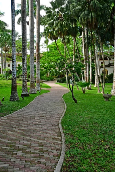 Chichén Itzá Estados Unidos Mexicanos Mayo 2018 Parque Hotel Restaurante —  Fotos de Stock