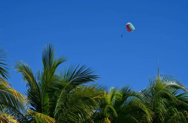 Playacar Estados Unidos Mexicanos Maio 2018 Parasailing — Fotografia de Stock