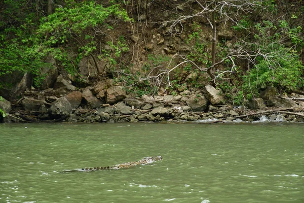 Tuxtla Gutierrez Estados Unidos Maio 2018 Desfiladeiro Sumidero — Fotografia de Stock