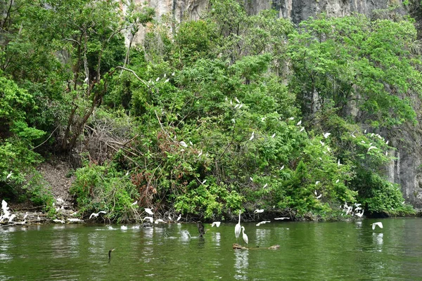 Tuxtla Gutierrez Estados Unidos Maio 2018 Desfiladeiro Sumidero — Fotografia de Stock