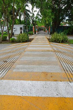 Playacar; United Mexican States - may 20 2018 : zebra crossing in the picturesque city clipart