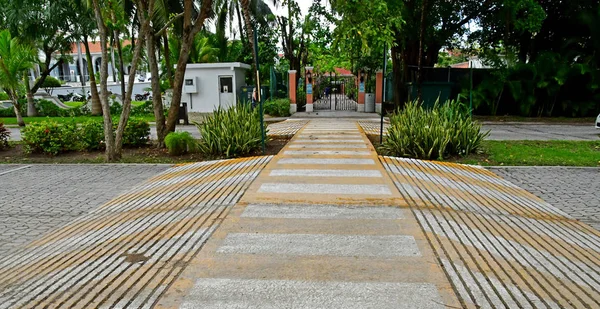 Playacar United Mexican States May 2018 Zebra Crossing Picturesque City — Stock Photo, Image