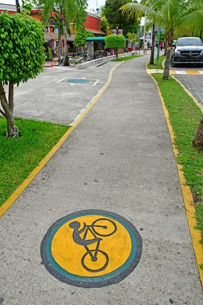 Playacar United Mexican States May 2018 Bicycle Lane — Stock Photo, Image