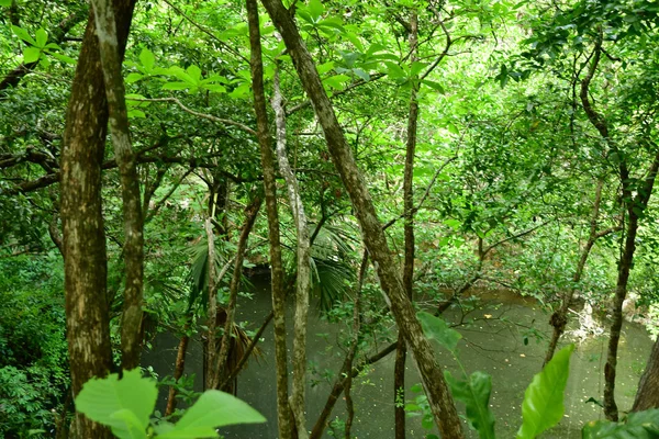 치첸이트사 멕시코 2018 Cenote 컬럼비아 사이트 중에서 — 스톡 사진