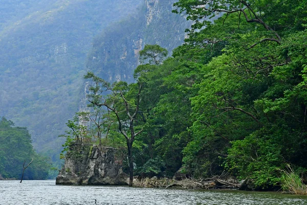 Tuxtla Gutiérrez Estados Unidos Mexicanos Mayo 2018 Cañón Sumidero — Foto de Stock