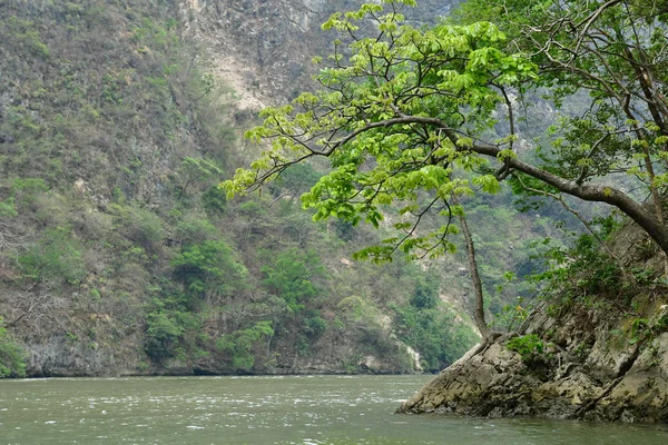 Tuxtla Gutierrez Estados Unidos Maio 2018 Desfiladeiro Sumidero — Fotografia de Stock