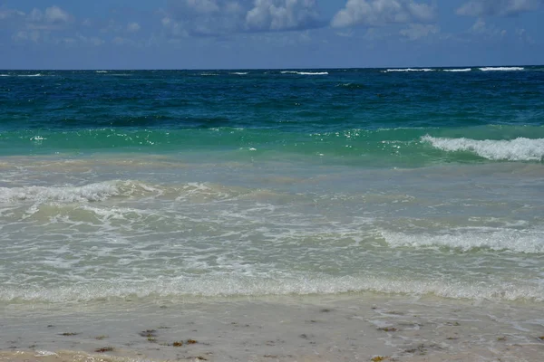 Riviera Maya Vereinigte Mexikanische Staaten Mai 2018 Der Strand — Stockfoto