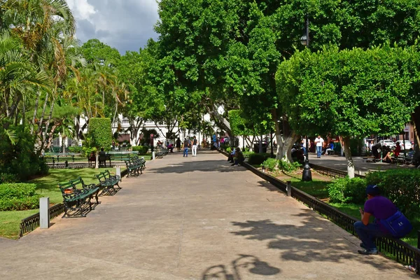 Merida Mexikanska Sverige Maj 2018 Plaza Mayor — Stockfoto