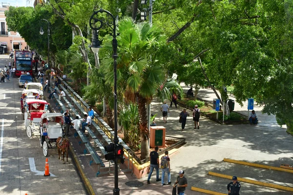 Merida Verenigde Mexicaanse Staten Mei 2018 Plaza Mayor — Stockfoto