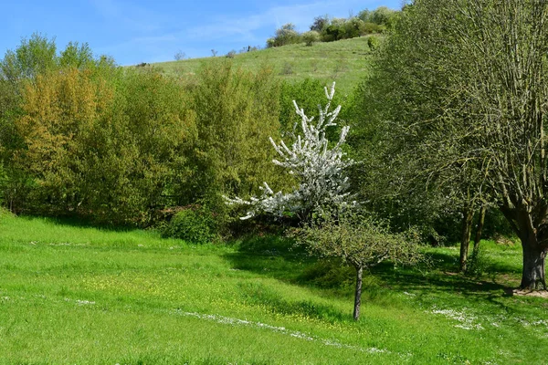 Giverny Francja Kwietnia 2018 Wieś Malownicze Malarzy Wiosnę — Zdjęcie stockowe