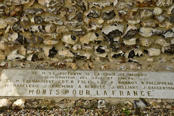 Lisors Frankrike November 2017 Döda För Frankrike Monument Lyons Skog — Stockfoto