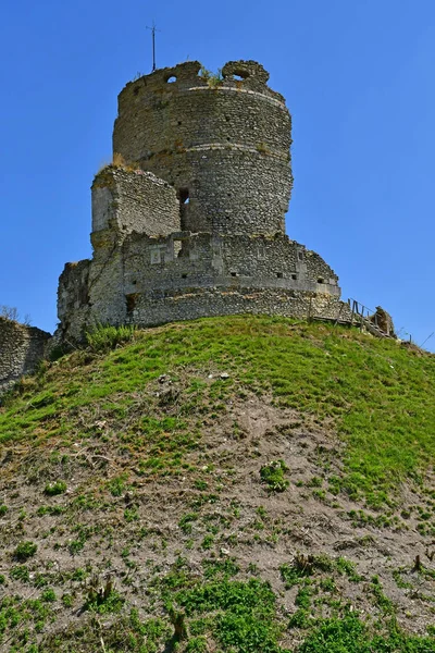 Chateau Sur Epte Francja 2018 Czerwca Ruiny Zamku — Zdjęcie stockowe