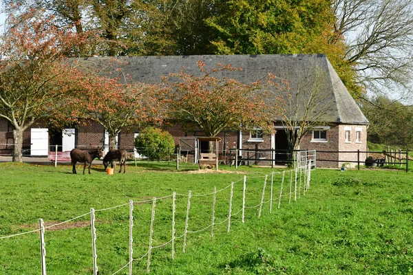 Vascoeuil Frankrijk November 2017 Landschap — Stockfoto