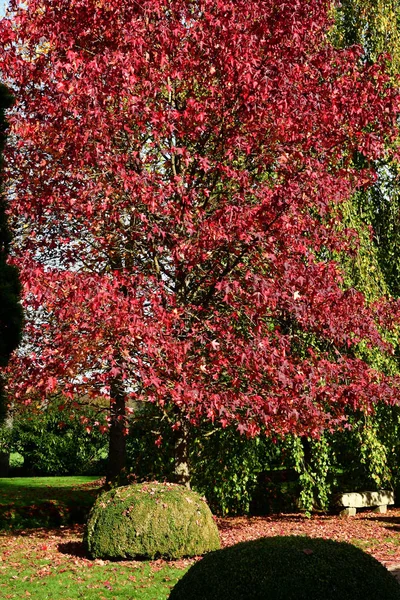 Vascoeuil Frankreich November 2017 Der Schlosspark — Stockfoto