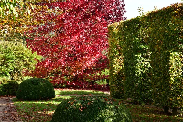 Vascoeuil Francia Noviembre 2017 Parque Del Castillo — Foto de Stock