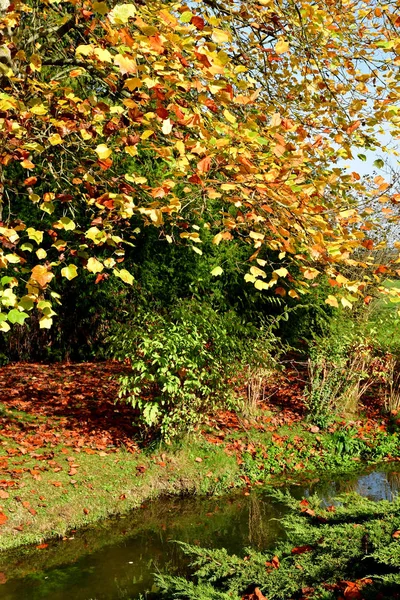 Vascoeuil Frankreich November 2017 Der Schlosspark — Stockfoto