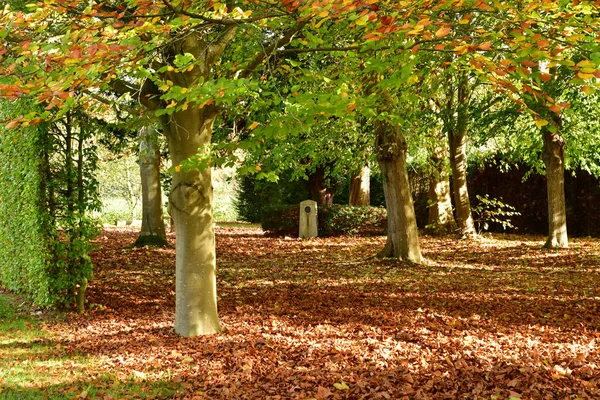 Vascoeuil Frankreich November 2017 Der Schlosspark — Stockfoto