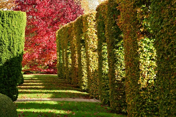 Vascoeuil Francia Noviembre 2017 Parque Del Castillo — Foto de Stock