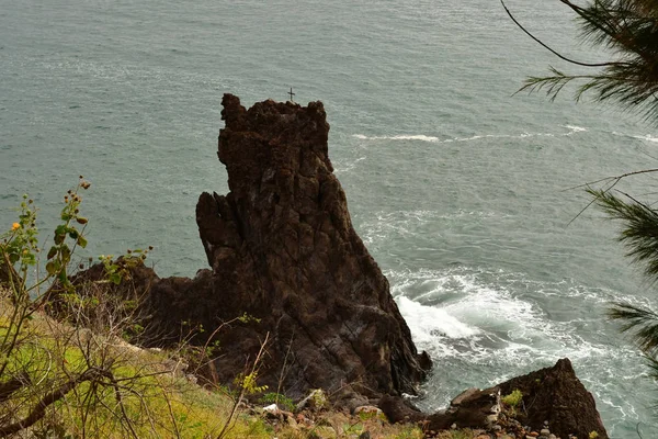 Funchal Madeira Portugália Február 2018 West Kerületben Található Funchal Tengerparti — Stock Fotó