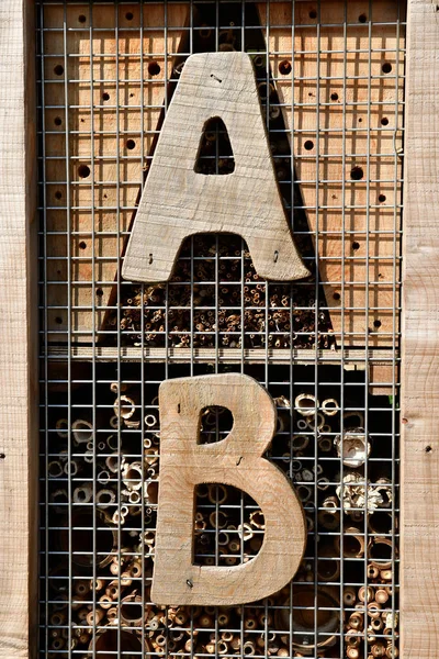 Caen France Avril 2018 Hôtel Insecte Dans Château — Photo