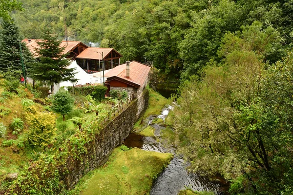 Ribeiro Friol Madeira Portekiz Şubat 2018 Kırsal Manzara — Stok fotoğraf