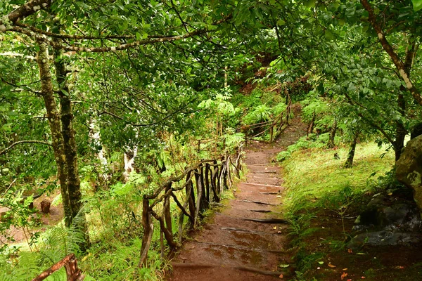 Ribeiro Friol Madeira Portekiz Şubat 2018 Kırsal Manzara — Stok fotoğraf