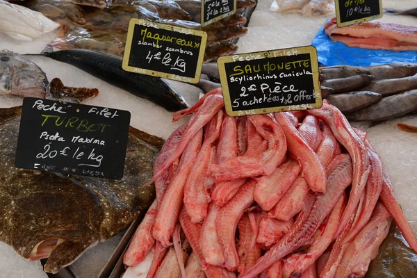 Courseulles Sur Mer Frankreich April 2018 Der Fischmarkt — Stockfoto