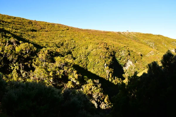 Risco Madeira Portugal Fevereiro 2018 Fontes Levam — Fotografia de Stock