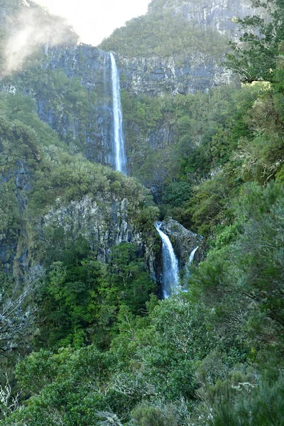 Risco Madeira Portugal Februari 2018 Fonteinen Levada Wandeling — Stockfoto